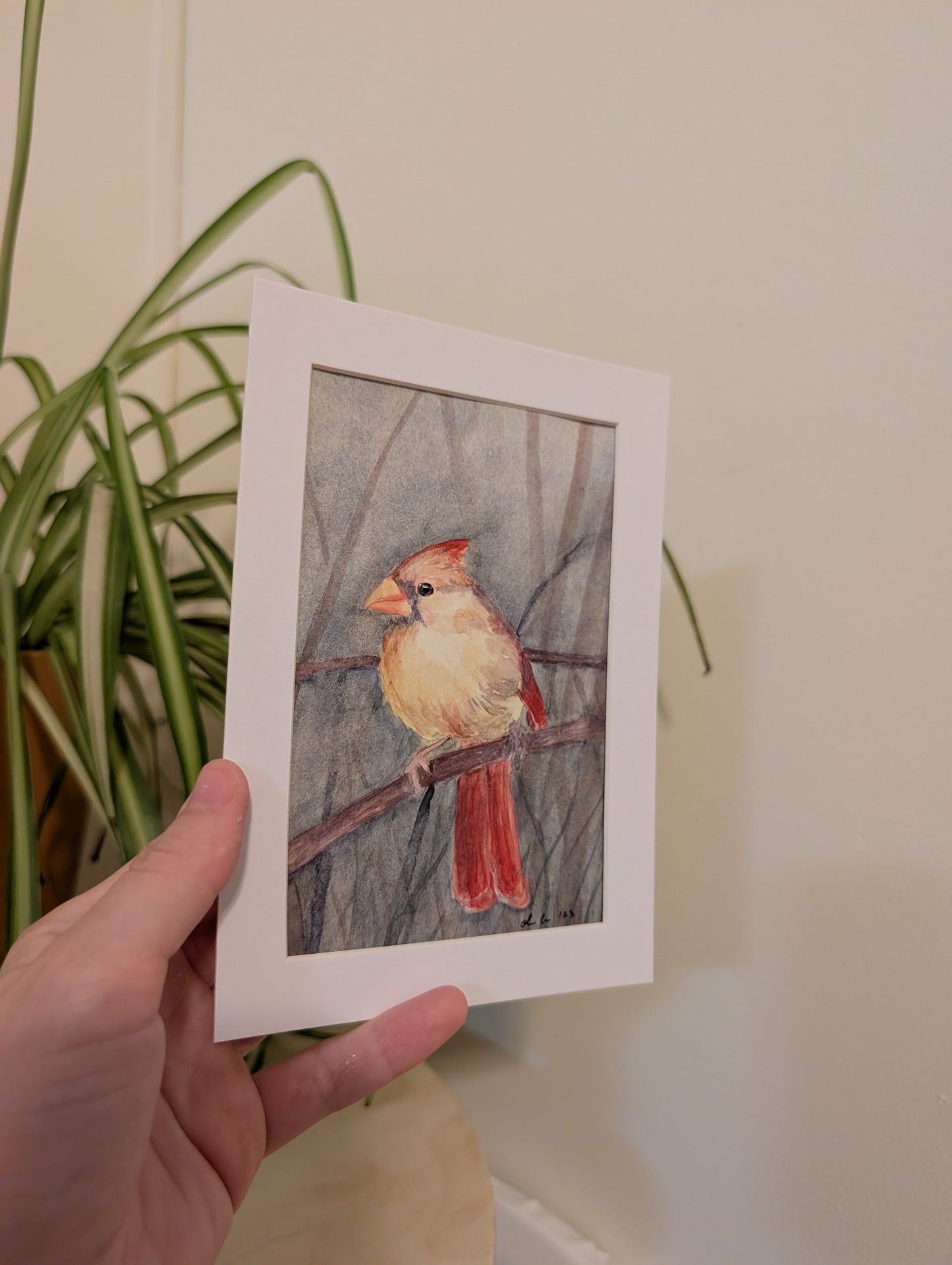 Female Cardinal Bird Watercolor Painting - 4 x 6" - No Frame, Comes with Mat - Original Art by Lora Cavallin