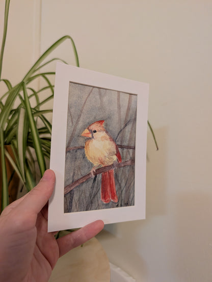 Female Cardinal Bird Watercolor Painting - 4 x 6" - No Frame, Comes with Mat - Original Art by Lora Cavallin