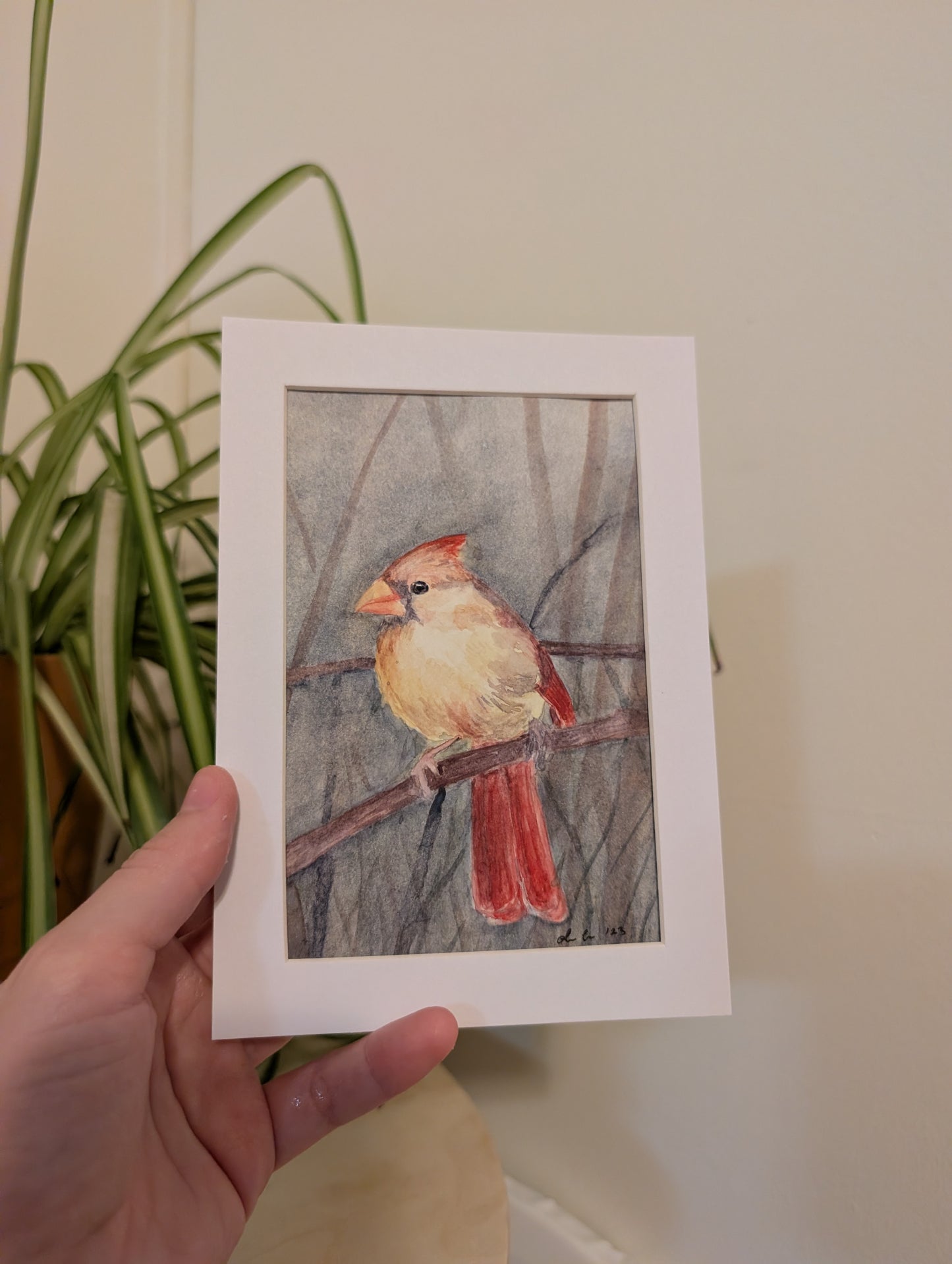 Female Cardinal Bird Watercolor Painting - 4 x 6" - No Frame, Comes with Mat - Original Art by Lora Cavallin