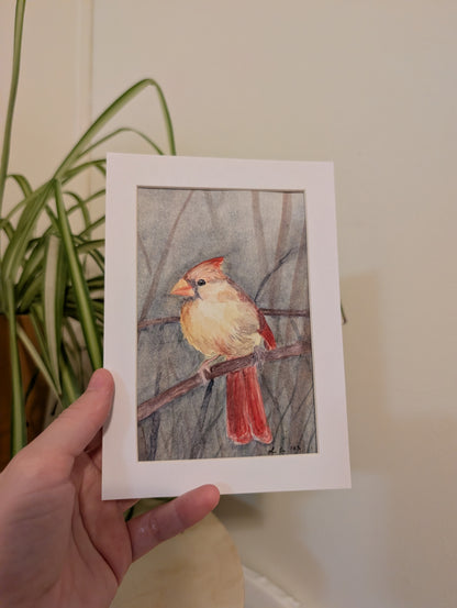 Female Cardinal Bird Watercolor Painting - 4 x 6" - No Frame, Comes with Mat - Original Art by Lora Cavallin
