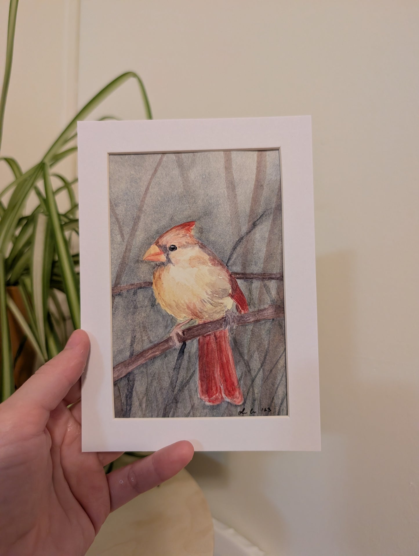 Female Cardinal Bird Watercolor Painting - 4 x 6" - No Frame, Comes with Mat - Original Art by Lora Cavallin