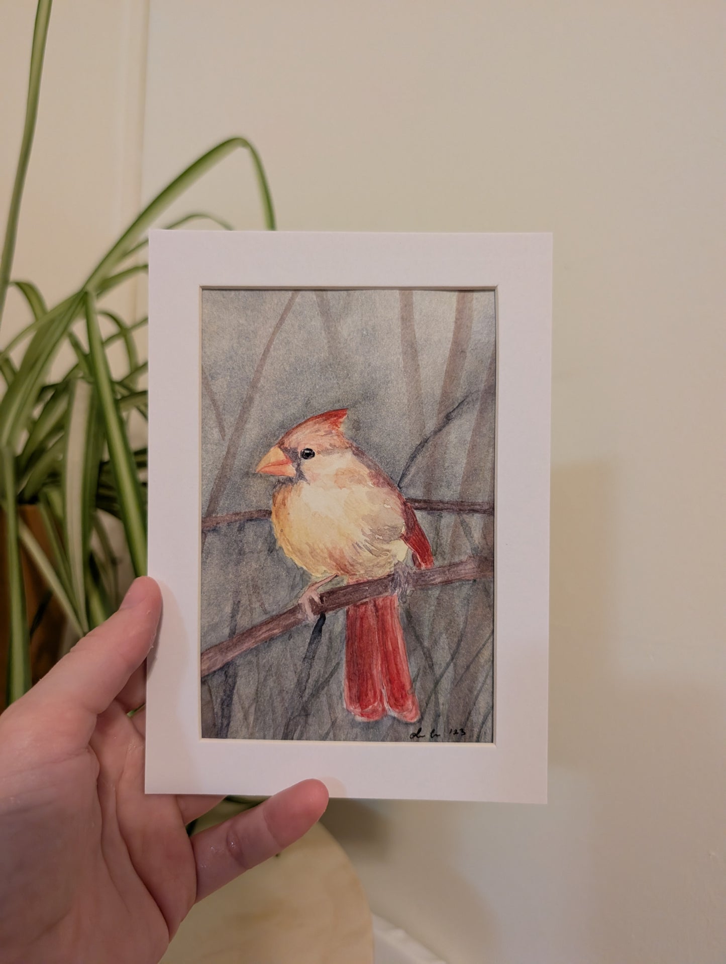Female Cardinal Bird Watercolor Painting - 4 x 6" - No Frame, Comes with Mat - Original Art by Lora Cavallin