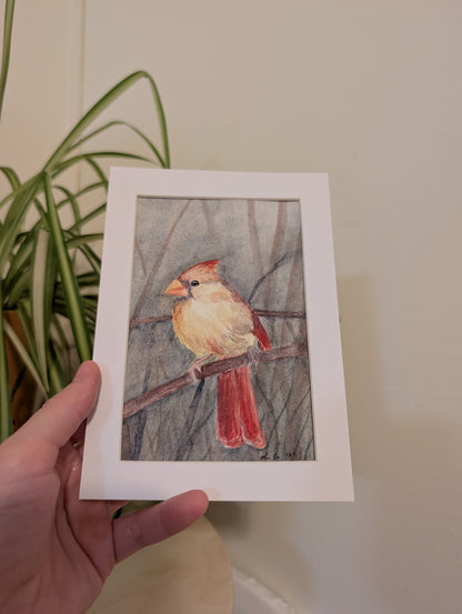 Female Cardinal Bird Watercolor Painting - 4 x 6" - No Frame, Comes with Mat - Original Art by Lora Cavallin
