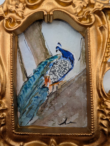 Mini Peacock Painting - Original Watercolor Art by Lora Cavallin