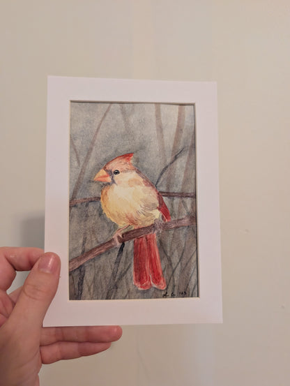 Female Cardinal Bird Watercolor Painting - 4 x 6" - No Frame, Comes with Mat - Original Art by Lora Cavallin