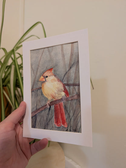 Female Cardinal Bird Watercolor Painting - 4 x 6" - No Frame, Comes with Mat - Original Art by Lora Cavallin