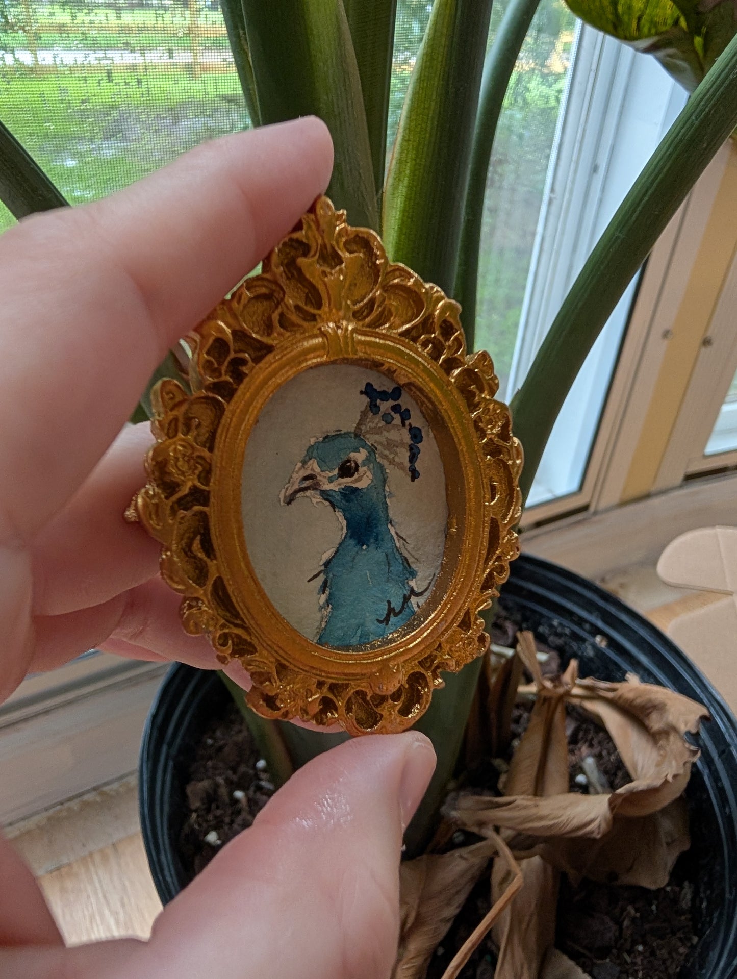 Mini Peacock Painting - Original Watercolor Art by Lora Cavallin